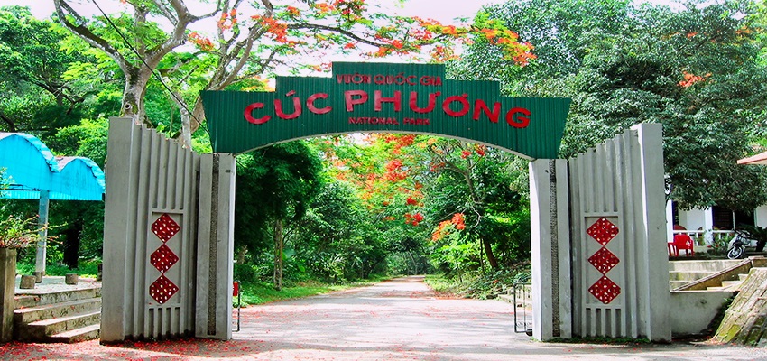 Endangered Primate Rescue Center Cuc Phuong National Park