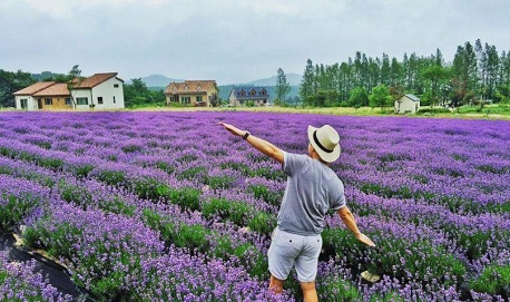 Dalat flower gardens: Top 15+ stunning photography spots