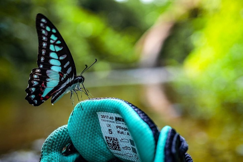 Discover its diverse flora and fauna in Phong Nha