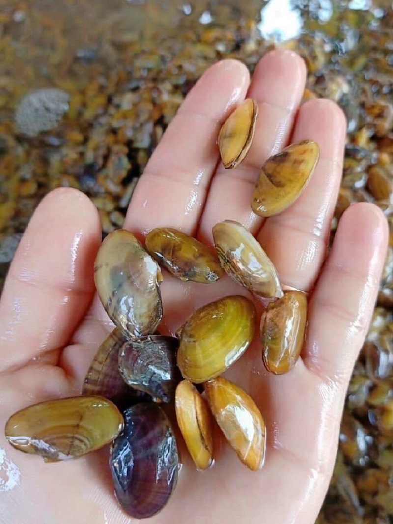 Quán luôn chú trọng chọn nguyên liệu tươi 