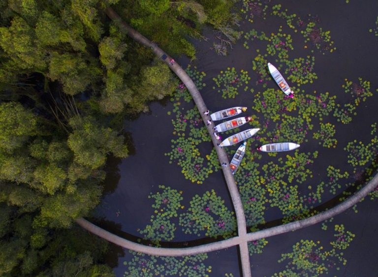 Du lịch miền Nam tháng 1 Con đường xuyên rừng tràm tại làng nổi Tân Lập