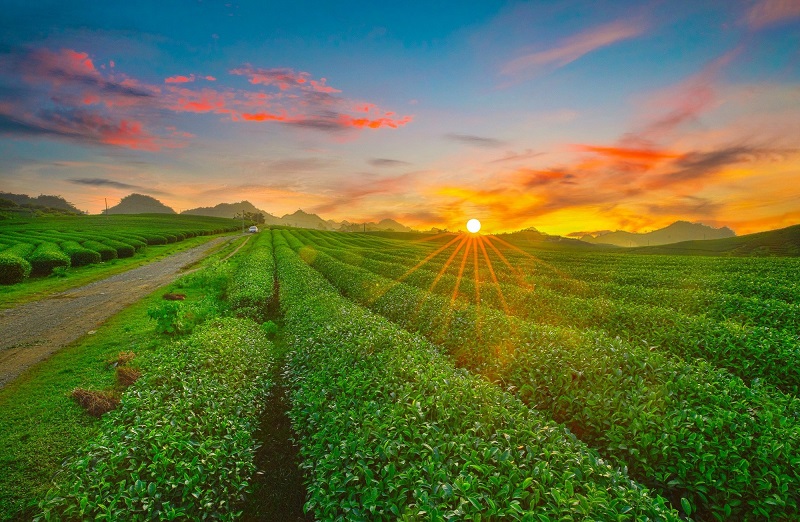 Du lịch 30/4 1/5 ở đâu? Bạn có thể đến với cao nguyên Mộc Châu