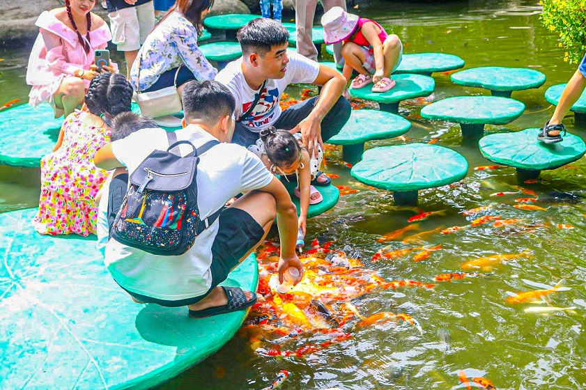 Experience fish feeding with baby bottles