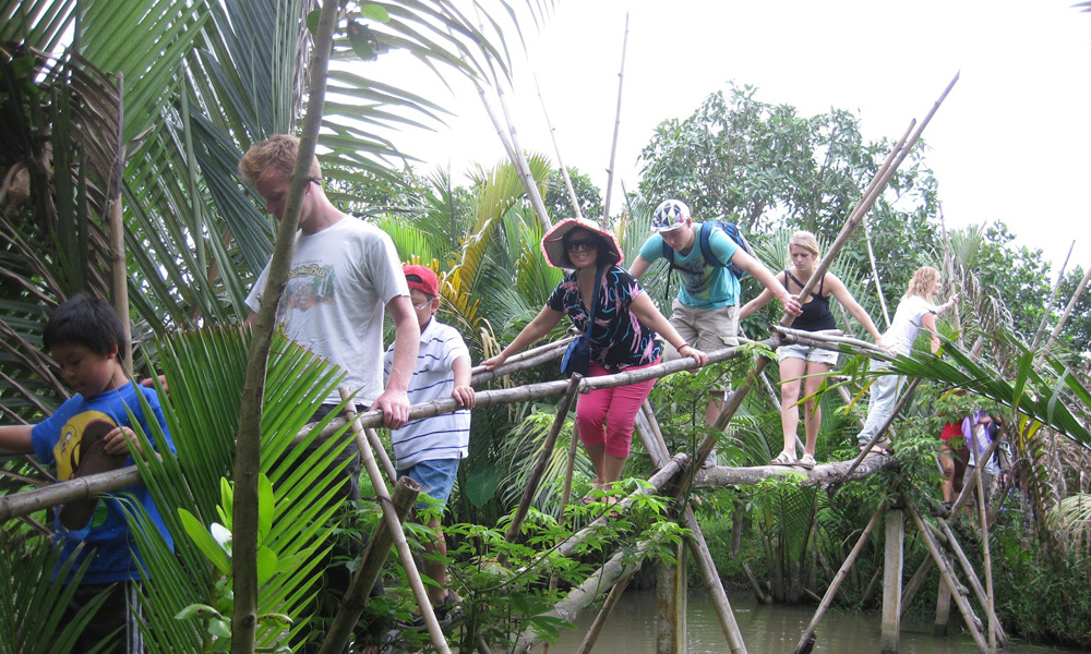 Monkey bridges Experience the unique monkey bridges