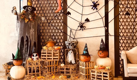 Family Halloween costumes: Get ready to howl with 70 COOLEST ideas