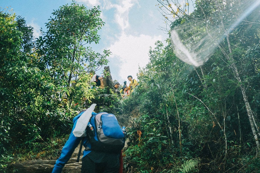 Fansipan trekking tours