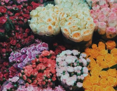 Hanoi flower markets: Best places to admire the beauty of blooming flowers