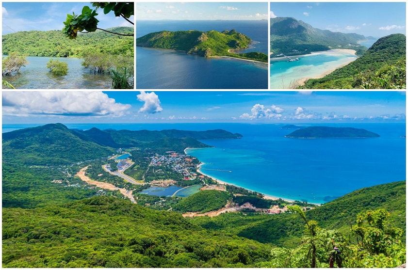 Forest ecosystem of Con Dao National Park