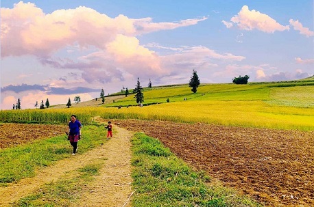 Ha Giang Loop tour: A worthwhile bucket list adventure