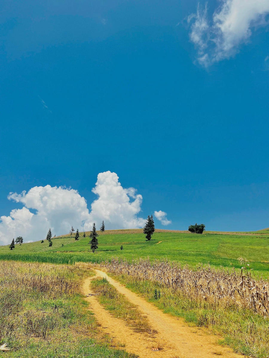 Ha Giang Loop with drivers