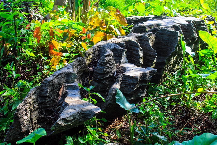 Ngắm tuyệt tác phong hóa bên ngoài hang Dơi Tiên An Tiên Phước