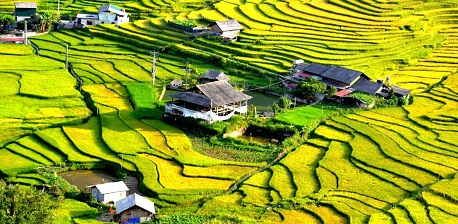 Hanoi to Sapa: A quick guide to traveling between two locations