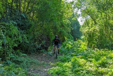 6 Ho Chi Minh City bike tours for an incredible experience