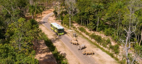 Safari parks: TOP 15 adventurous places in the world to roam with the wild