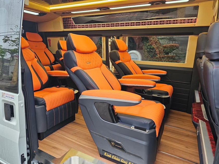 Luxury Van Limousine