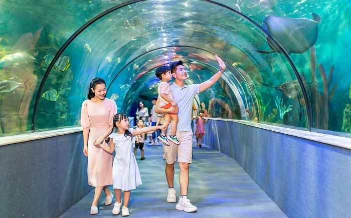 Khám phá thế giới đại dương ngay trong lòng Thủ đô