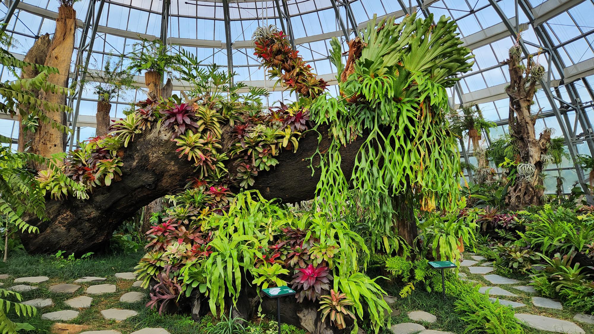 MicrosoftTeams-image (32)