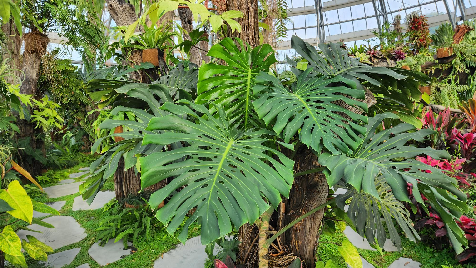 MicrosoftTeams-image (36)