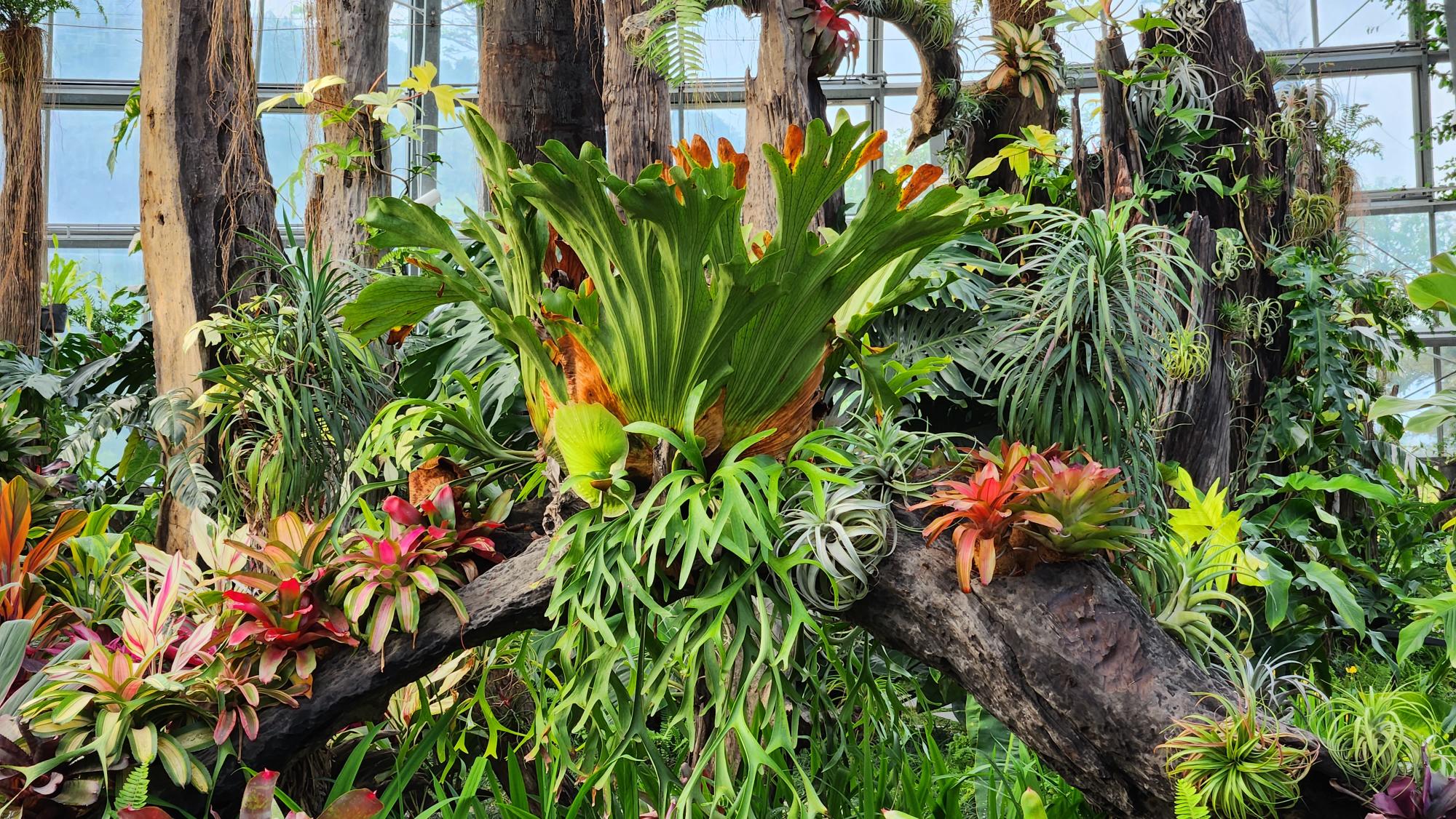 MicrosoftTeams-image (39)