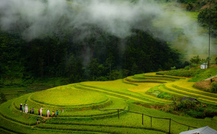 Mu Cang Chai