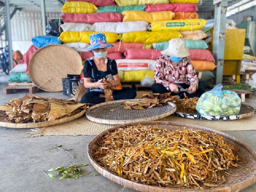 Ho Chi Minh City bike tour Mui Thao Duoc