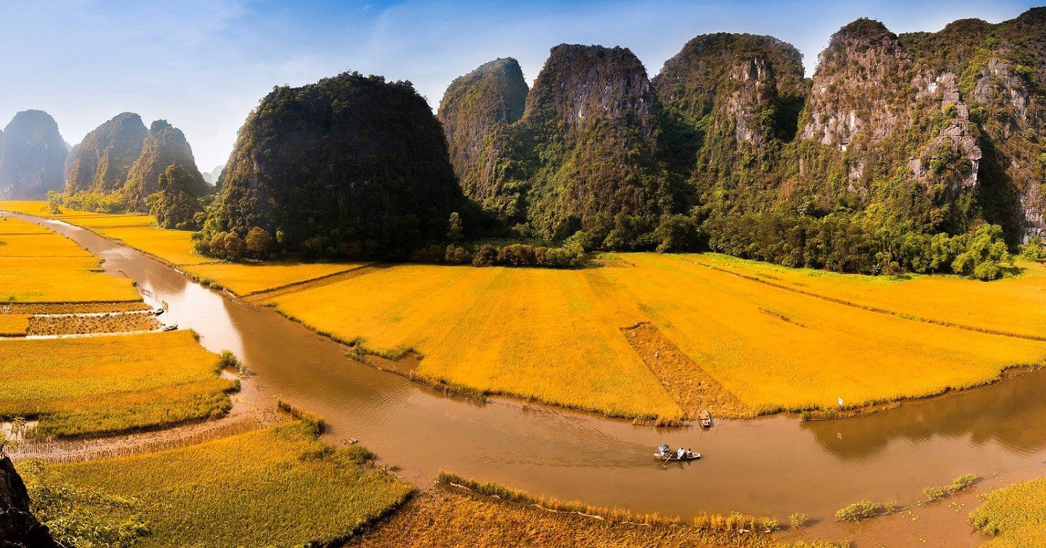 Ninh Binh rice fields