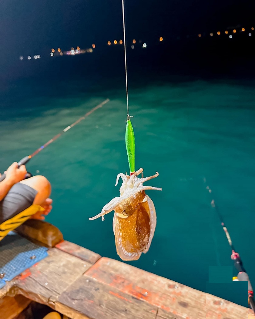 Participate in a night squid fishing tour