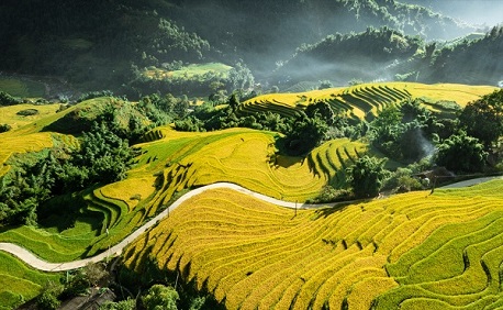 Peak season in Vietnam: Tips for your seamless travel