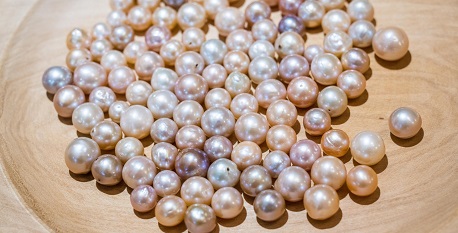Phu Quoc pearl farms: a glimpse into history, products, and more
