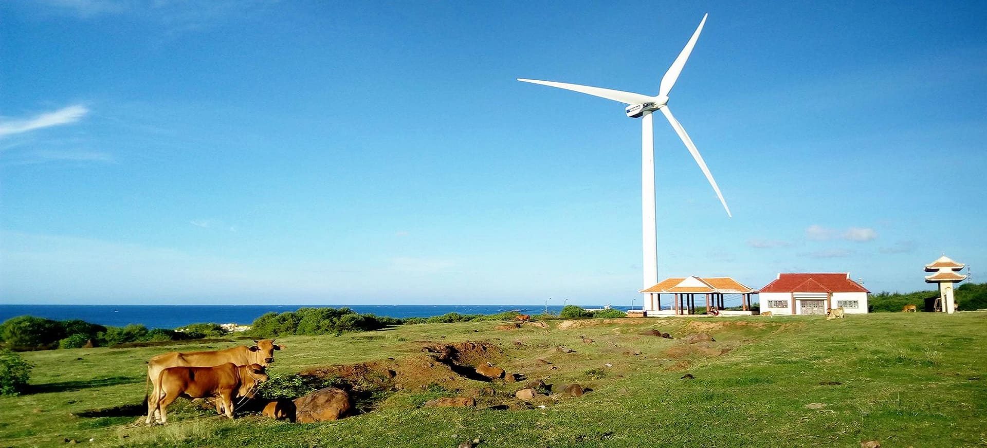 Phu Quy Wind Farm