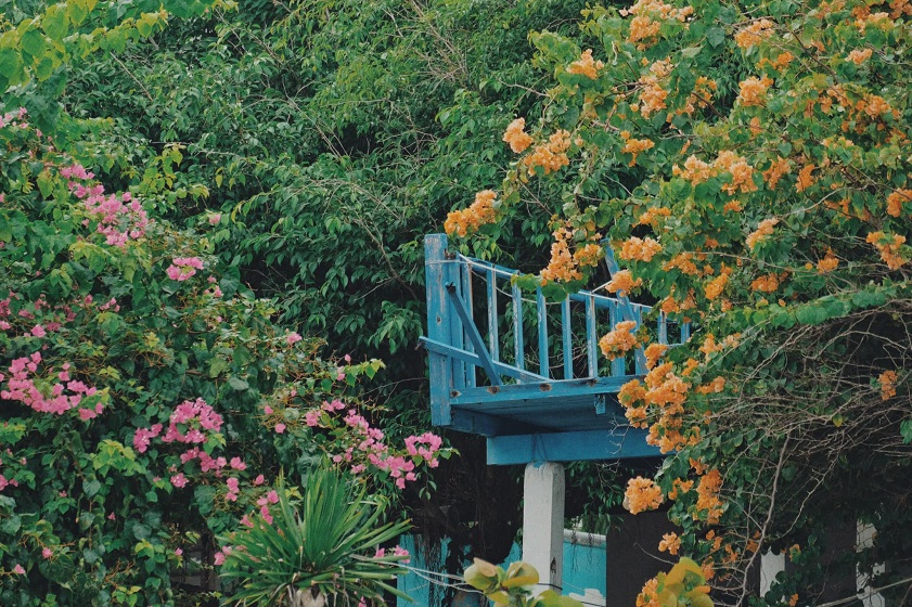 Phu Yen comes with a poetic beauty during the rainy season