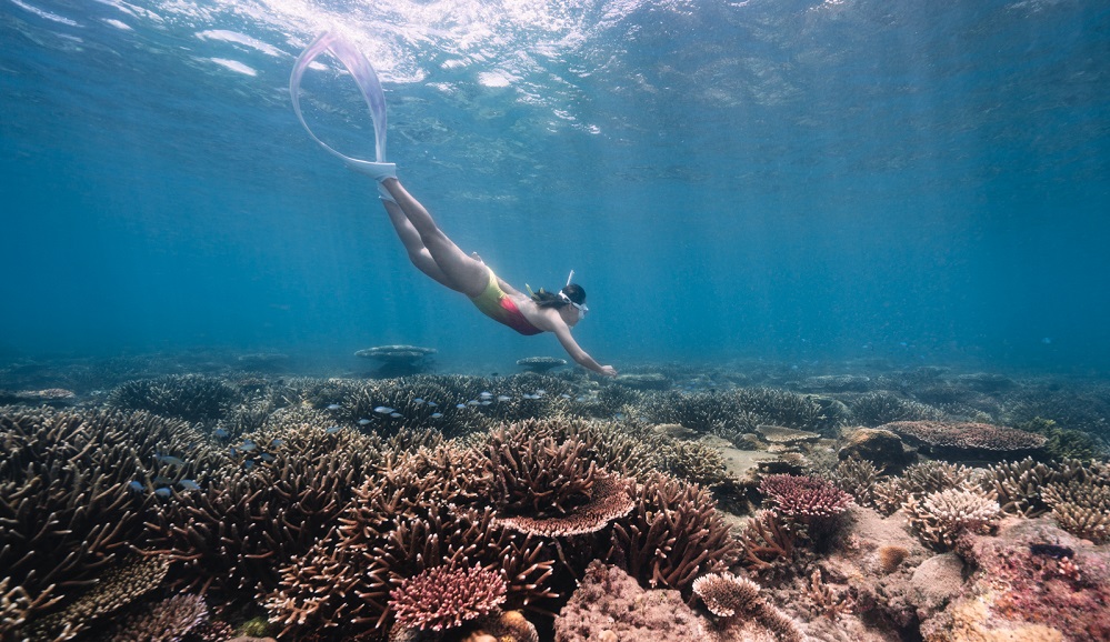 Prepare appropriate clothing for Con Dao's weather