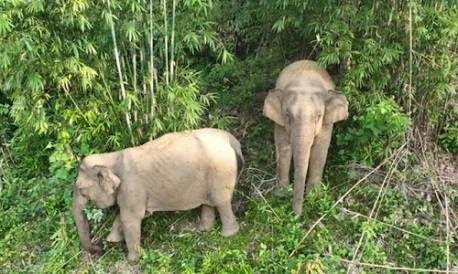 Pu Mat National Park: A handy travel guide for first-timers