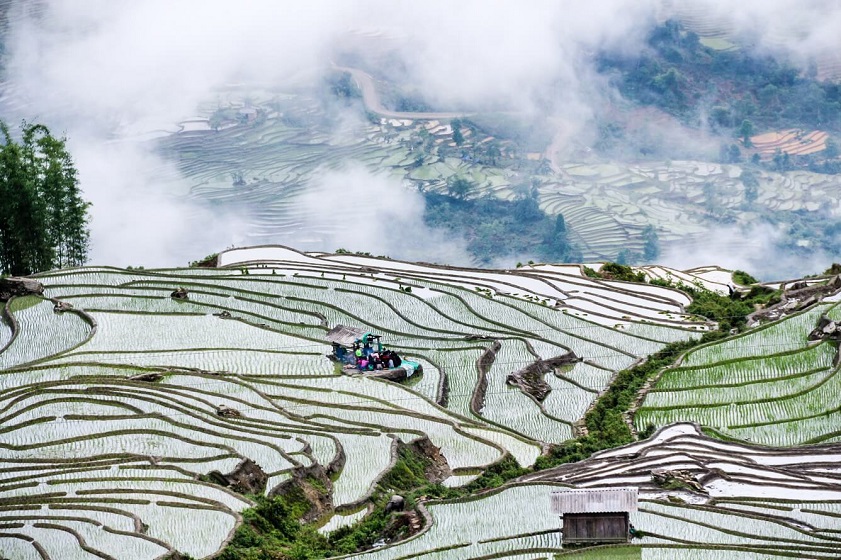 Sapa Vietnam in March Sapa’s rice fields in March are idyllic