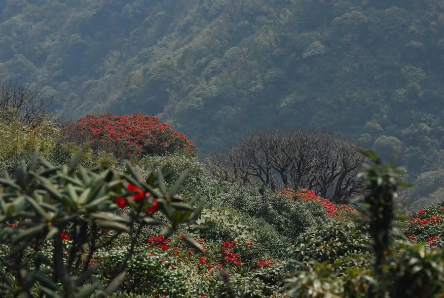 Sapa Vietnam in April