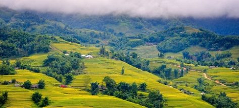 Sapa rice fields: A spectacular joint work of Mother Nature & man