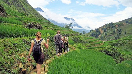 Sapa trekking: 5 most scenic routes for your wonderful adventure