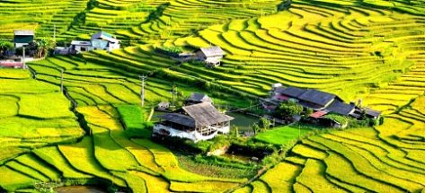 Sapa weather in August: A guide to travel smoothly with your beloved