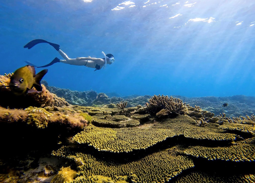 Scuba Diving in Mui Ne