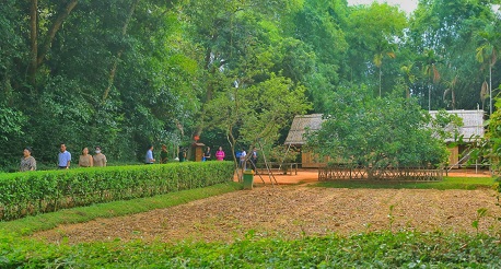 Sen Village in Nghe An: Explore Uncle Ho’s hometown