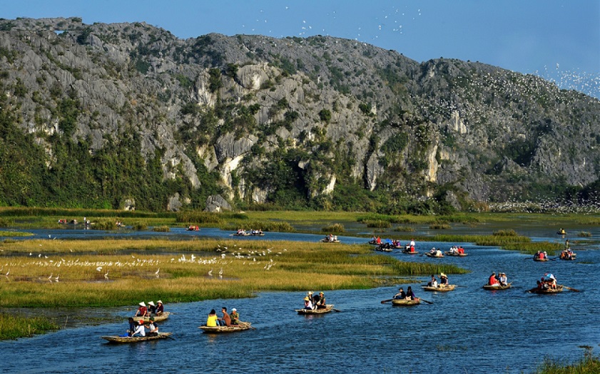 Take a boat ride through the tranquil waters of Van Long