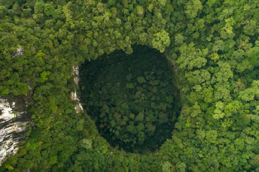 The Son Doong Cave ecosystem is unique and delicate