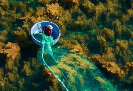 13 fun things to do in Quy Nhon for a memorable visit