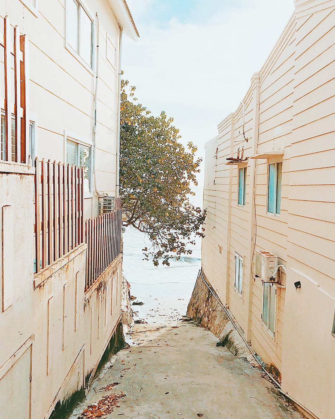 Things to do in Vung Tau Vung Tau's alleyways beckon with a poetic charm