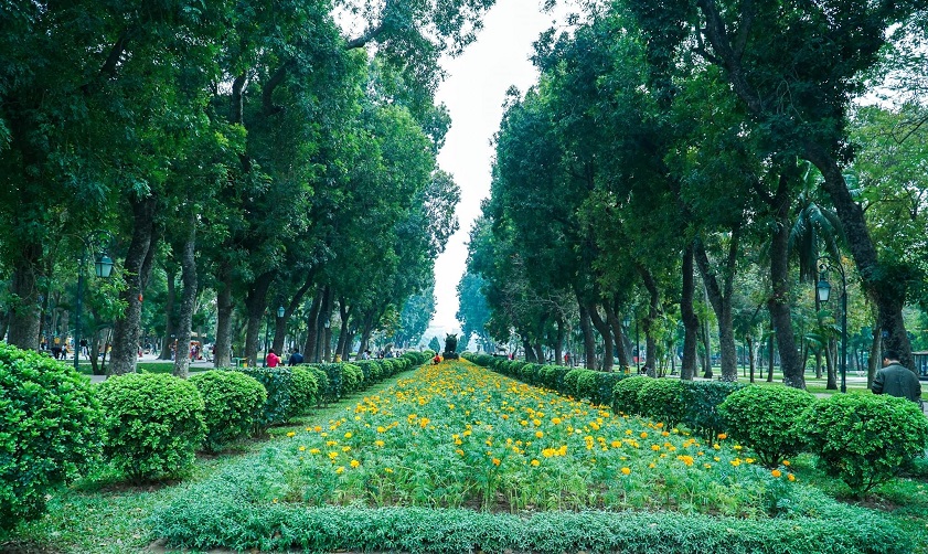 The green space inside Thong Nhat Park (Source: Collected)