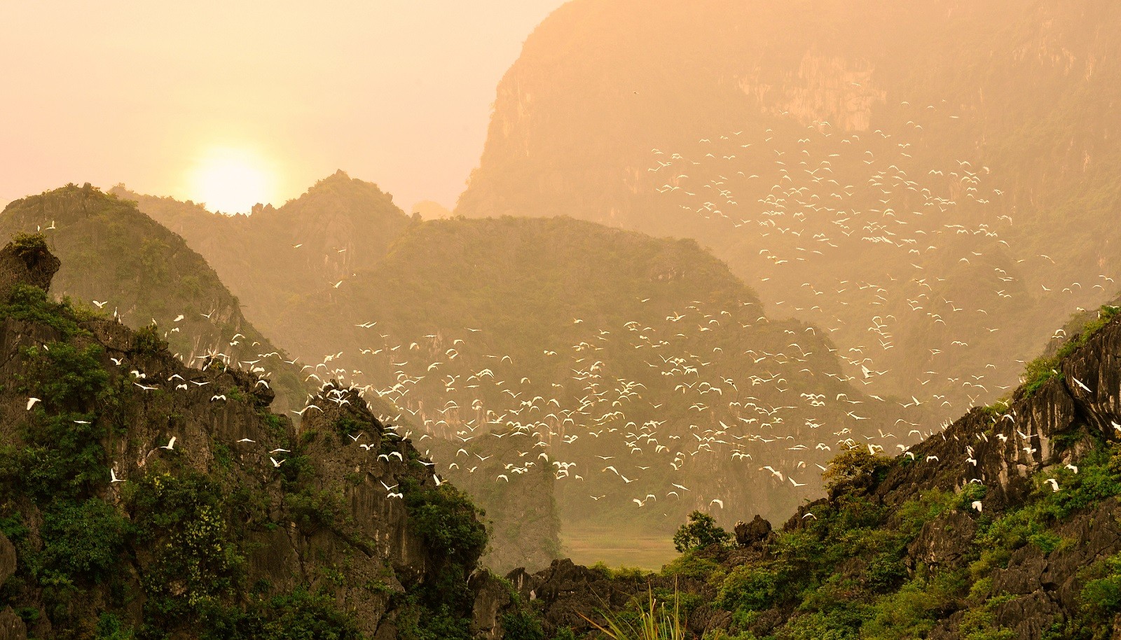 Thung Nham Bird Park