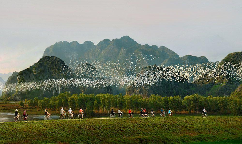 Thung Nham Bird Park in Ninh Binh in autumn