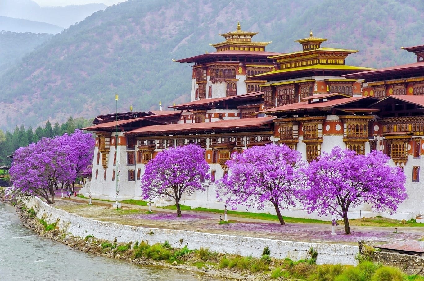 best countries to visit in April Tour Bhutan in April
