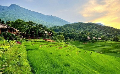Trekking in Pu Luong: Popular trekking routes & essential tips