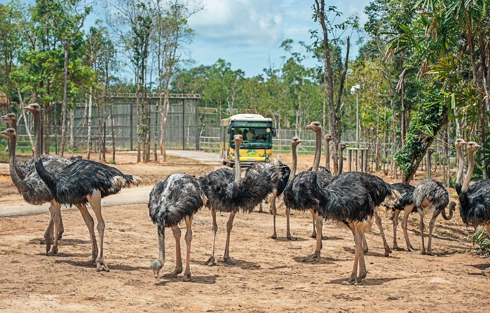 quán mì udon Hà Nội